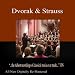 Don Quixote-Fantastic Variations for Cello, Viola, and Orchestra, Op.35, Variation II