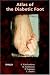 Atlas of the Diabetic Foot