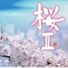 Cherry Blossoms 2