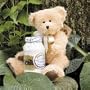 CUDDLES AND COOKIES GIFT BASKET - FEATURING COLLECTIBLE BOYDS BEAR AND COOKIE MIX