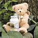 Cuddles N' Cookies - Toy Bear with Delicious Cookie Mix