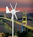 SWG 100w/24v Wind Turbine generator for Residential Use