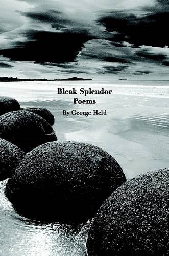 Bleak Splendor, by Grorge Held