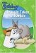 Francis Takes a Tumble: The Story of the Good Samaritan (Child Sockology)