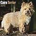 Cairn Terrier Calendar - Breed Specific Cairn Terrier Calendar - 2015 Wall calendars - Dog Calendars - Monthly Wall Calendar by Avonside