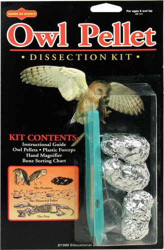 Owl Pellet Dissection Kit