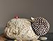 Top Collection Enchanted Story Fairy Garden Hedgehog and Ladybug on Stone Outdoor Statue