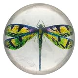 Green Dragonfly Drawing Glass Paperweight Asian Art Design