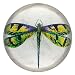 Green Dragonfly Drawing Glass Paperweight Asian Art Design