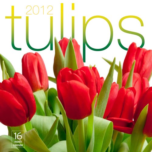2012 Tulips Wall calendar