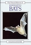 The natural history of hibernating bats