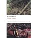 Great novels impossible to categorise.