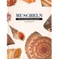 Muscheln . Das neue kompakte Bestimmungsbuch