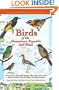 Birds of the Dominican Republic and Haiti (Princeton Field Guides)