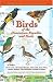 Birds of the Dominican Republic and Haiti (Princeton Field Guides) width=