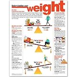 Understanding Your Weight Anatomical Chart