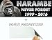 Harambe: Never Forget 1999-2016 Memorial Bumper Sticker & Free Magnetizer. He Died For Our Sins. RIP in Peace You Glorious Gorilla. Honor Our Lord & Savior with a Durable Vinyl Window & Laptop Decal.