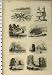 C1890 Geology Shetland Granite Rocks Earthquake Print