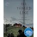 Thin Red Line (The Criterion Collection) [Blu-ray]