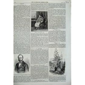 1859 Count Minerva Aloe Plant Guernsey Antonelli Pius