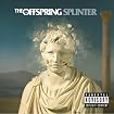 Splinter