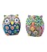 Paint-a-Rock Pet Kit