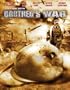 Brother's War
