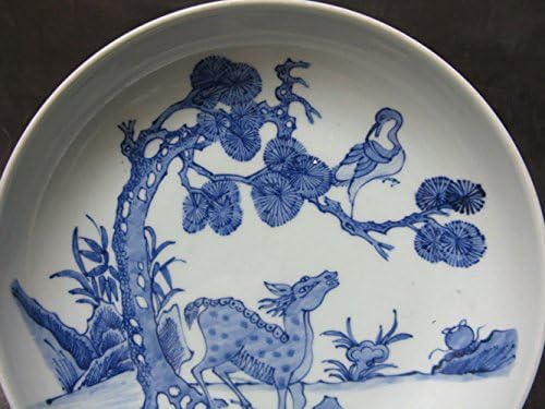 Birds Standing in Pine Tree and Deer Raising Heads