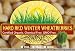 Hard Red Winter Wheatberries - 160 Ounces