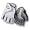 White/Silver