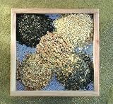 1kg Finch Food Outdoor Living