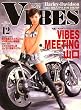 VIBES (バイブス)2008年 12月号 [雑誌]