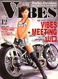 VIBES (バイブス) 2008年 12月号 [雑誌]