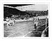 Historic Print (XL): [The finish of the 400 meter relay at the 1928 Olympic Games, Amsterdam - won by U.S.]