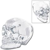 Crystal Skull w/ Moveable Jaw