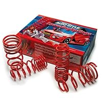 Mazda RX8-Tieferlegungsfedern