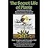 The Secret Life of Plants: a Fascinating Account of the Physical, Emotional, and Spiritual Relations Between Plants and Man