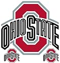 Ohio State Buckeyes Mascot Logo Wall Sticker Decal