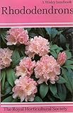 Rhododendrons