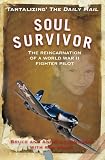 Soul Survivor (Mass Market Edition): The Reincarnation of World War II Fighter Pilot