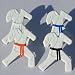 Karate Brads