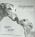 Greyhounds Big and Small: Iggies and Greyts