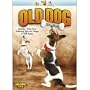 Old Dog, New Tricks V.4