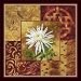 Asian Influence II Framed Art Poster Print by Dwight Wood, 27x27