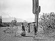 Maricopa Women Amid the Arizona Saguaros - Memorable 16"x20" Photographic Print from the Library of Congress Collection
