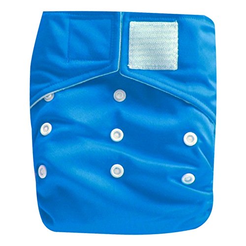 Kawaii Baby Heavy Duty One Size Velcro Cloth Diaper W/2 Inserts 