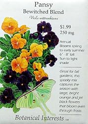 Pansy Bewitched Blend Seeds 175 Seeds