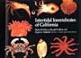 Intertidal Invertebrates of California