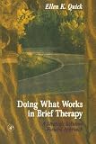 Doing What Works in Brief Therapy: A Strategic Solution Focused Approach (Practical Resources for the Mental Health Professional)