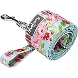 Blueberry Pet 3/8-inch by 6-Feet the Ultimate Macaroon Cake Dog Leash With Spring Pastel Hues for Puppy, X-Small